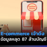 Temu e-commerce