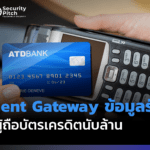 payment gateway