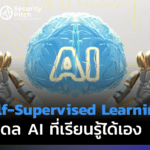 Self-Supervised Learning AI